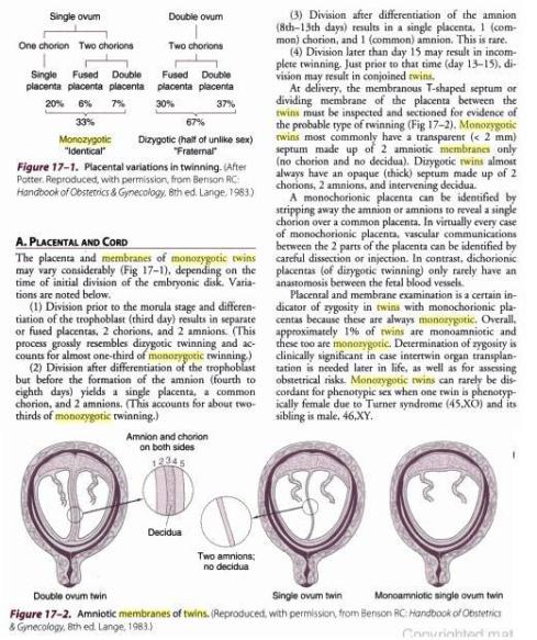 embryo-fetal-membranes